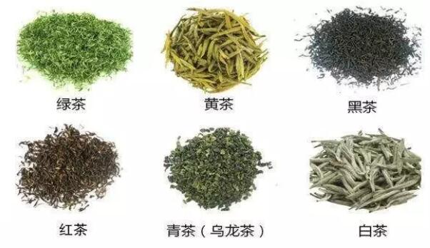 茶叶保存,茶叶种类,黑茶,花茶